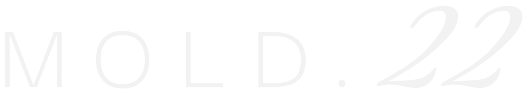 Mold.22
